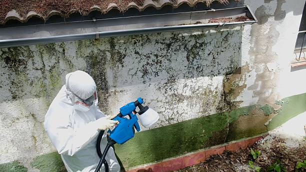 Trusted Mold Testing service in Margarettsville, NC - Cheap Mold Removal